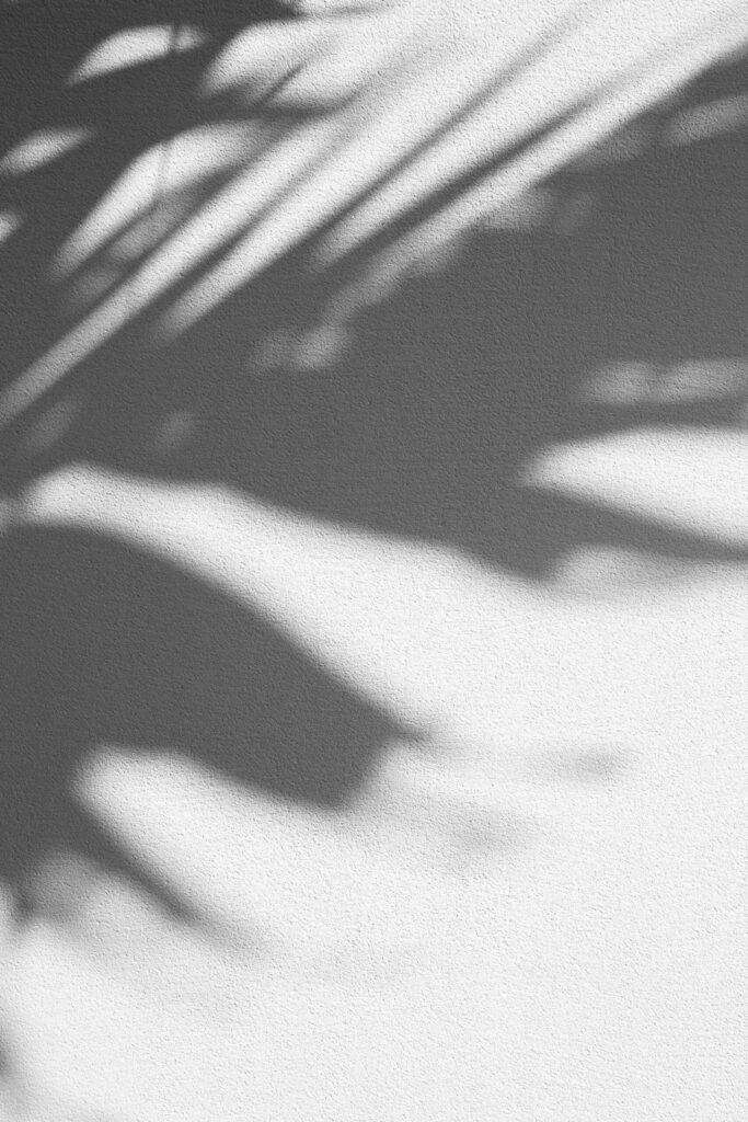 Augustine wong zB1JO sWlOE unsplash 1 scaled